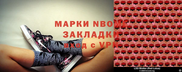 индика Чердынь