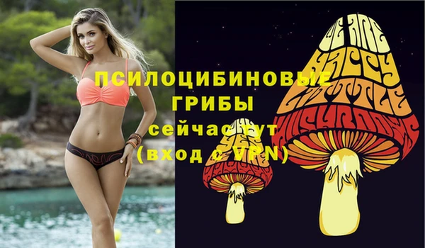 не бодяженный Коряжма